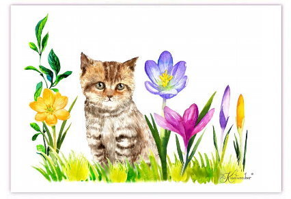 Postkarte Frühlingskatze